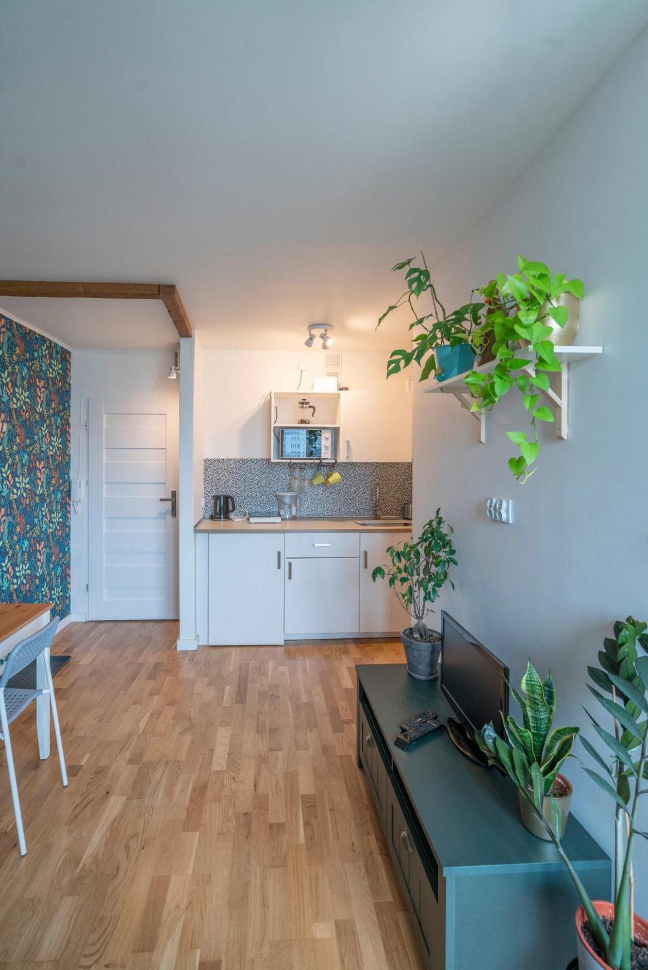 Green Studio In The City Center Of Wrocław Zewnętrze zdjęcie